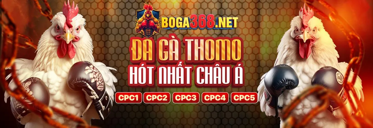 Sân vận động bóng đá với khán giả và logo WM88 Win