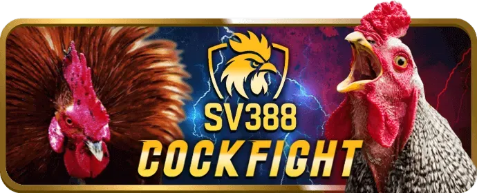 Trò chơi Đá Gà WM88 Win